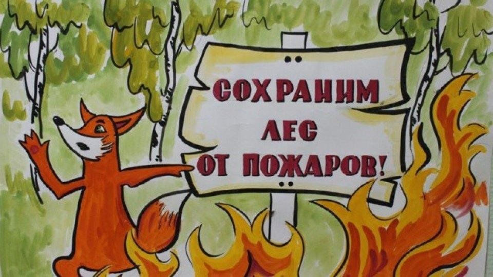 2dfeadf3-56e7-5ada-9598-82fecac0e767.jpeg